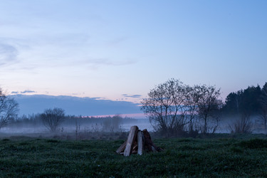 Similar image 21341605