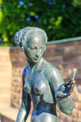 Similar image 21341554