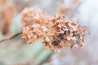 Similar image 21302947