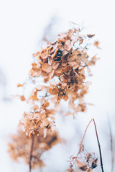 Similar image 21304609