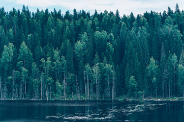 Similar image 21304613