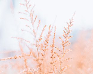 Similar image 21304618