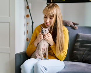 Similar image 21306811