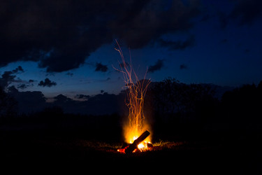 Similar image 21300230