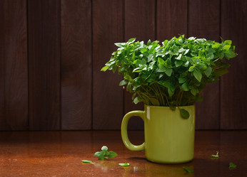 Similar image 21296708