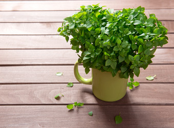 Similar image 21296710