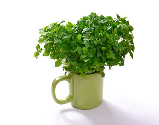 Similar image 21296714