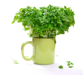 Similar image 21296718