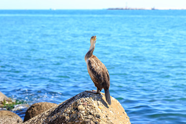 Similar image 21342201