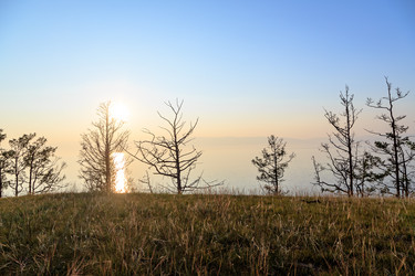 Similar image 21342205