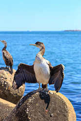 Similar image 21342214