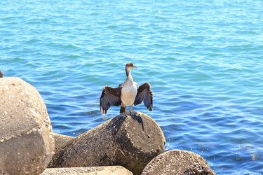 Similar image 21342215