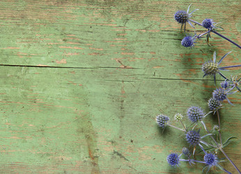 Similar image 21306931