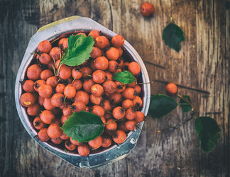 Similar image 21308847