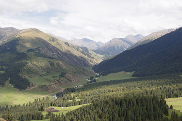 Similar image 21300265