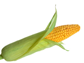 Similar image 21306952