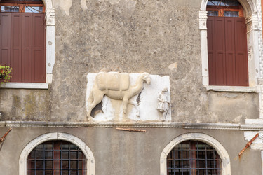 Similar image 21308666