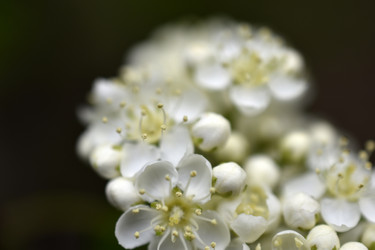 Similar image 21318886