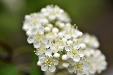 Similar image 21318887