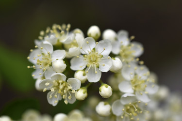 Similar image 21318888