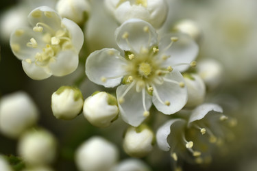 Similar image 21318889