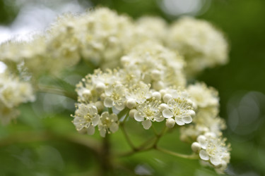 Similar image 21318890