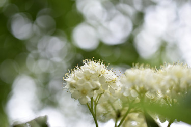 Similar image 21339313