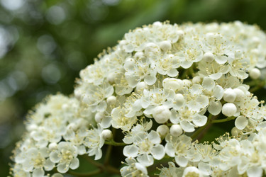 Similar image 21339314