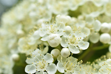 Similar image 21339315