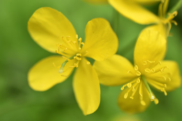 Similar image 21339316