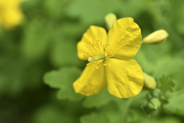 Similar image 21339419