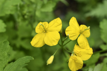 Similar image 21339420