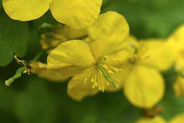 Similar image 21339421