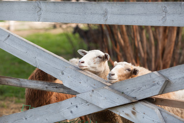 Similar image 21328541