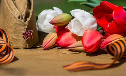 Similar image 21329877