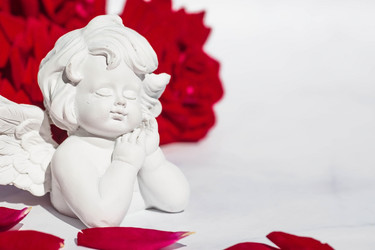 Similar image 21328239