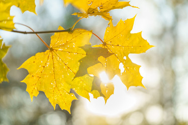 Similar image 21303272