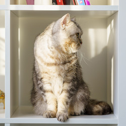 Similar image 21304697