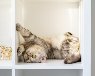 Similar image 21304698