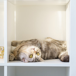 Similar image 21304702