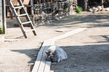 Similar image 21326582