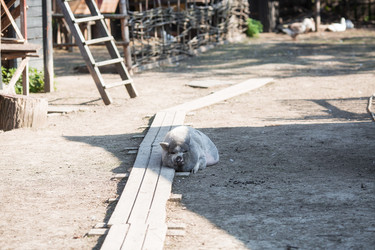 Similar image 21326585