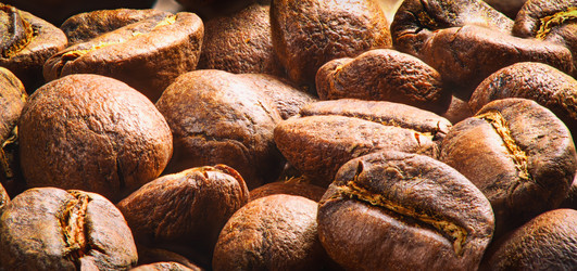 Similar image 21315147