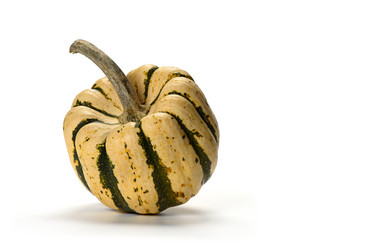 Similar image 21315342