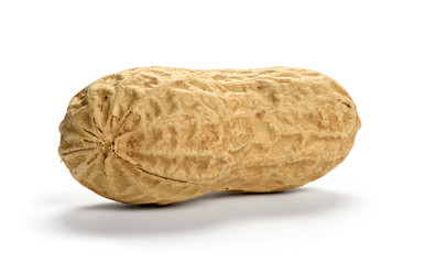 Similar image 21315354