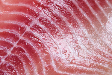 Similar image 21315375