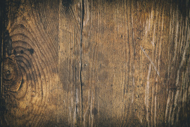 Similar image 21323772