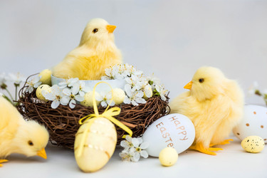 Similar image 21326619