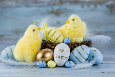 Similar image 21329920