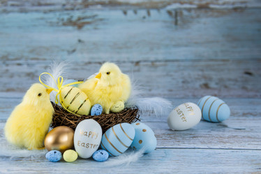 Similar image 21329922